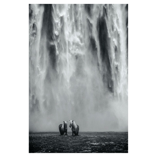 The Dream by David Yarrow, 2018 – Photography artwork