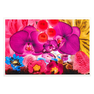 At the Far Edges of the Universe #4 by Marc Quinn, 2010 – Prints artwork