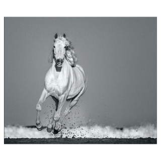 Pegasus by David Yarrow, 2020 – Photography artwork