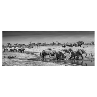 Before Man by David Yarrow, 2019 – Photography artwork