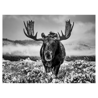 The Winter Season by David Yarrow, 2024 – Photography artwork