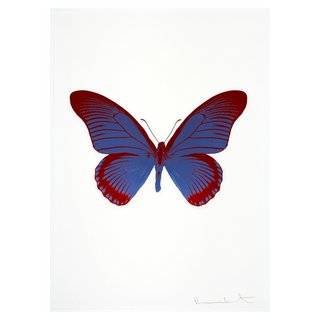 The Souls IV - Frost Blue/Chilli Red by Damien Hirst, 2010 – Prints artwork