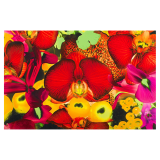 At the Far Edges of the Universe #2 by Marc Quinn, 2010 – Prints artwork