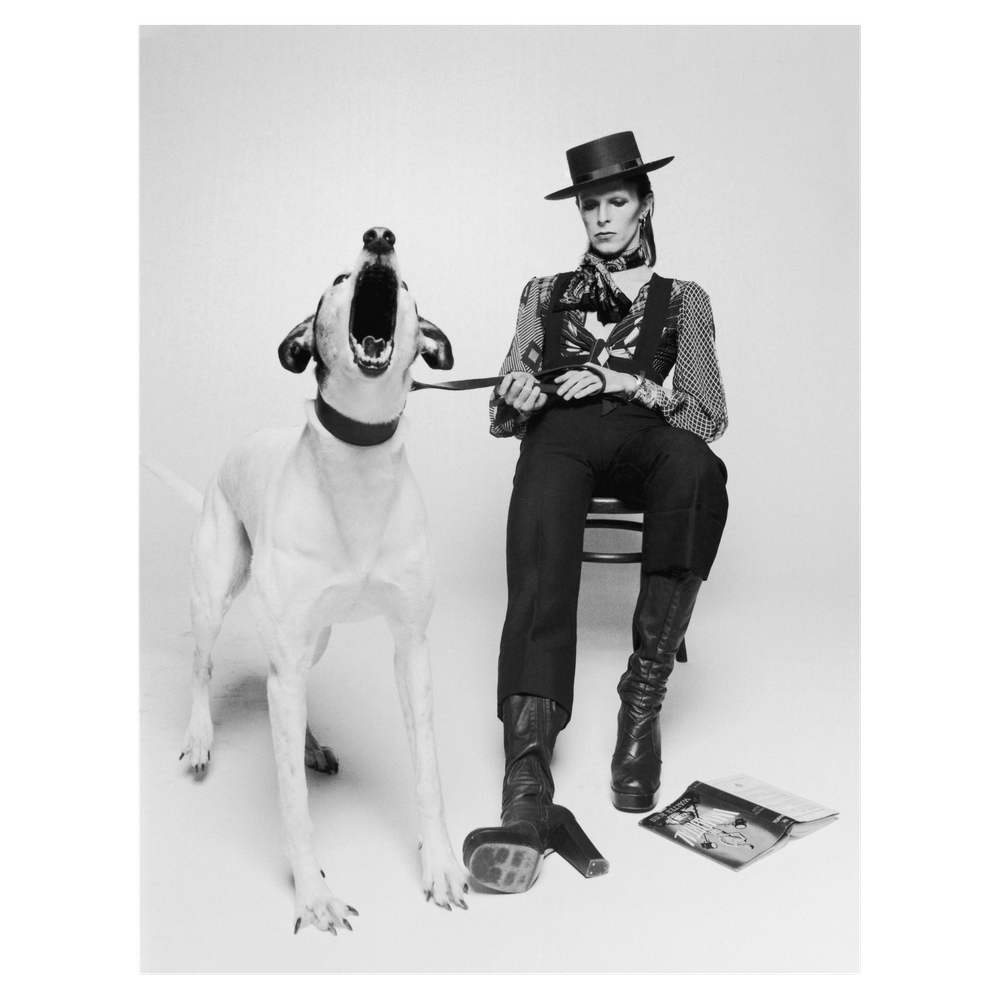 David Bowie in 'Diamond Dogs' by Terry O'Neill (1974/Printed 2017
