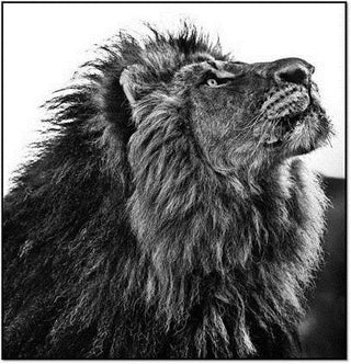 David Yarrow, NKOSI SIKELEL' IAFRIKA, 2017 contemporary Print by the British Artist.