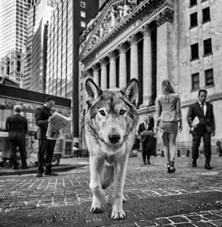 David Yarrow, Once Upon a Time on Wall Street, 2023 contemporary Print by the British Artist.