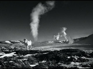 David Yarrow, Lord of the Rings, 2013 contemporary Works on Paper by the British Artist.