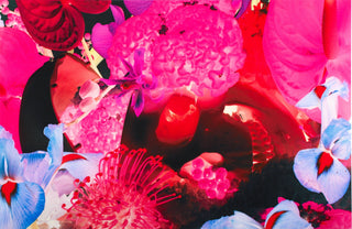 Marc Quinn, At the Far Edges of the Universe #8, 2010 contemporary Print by the British Artist.