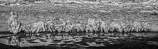 David Yarrow, One for the Road, 2020 contemporary Print by the British Artist.