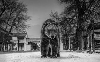 David Yarrow, Out of Towner, 2019 contemporary Print by the British Artist.