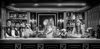 David Yarrow, The Dogs of Palm Beach, 2025 contemporary Print by the British Artist.