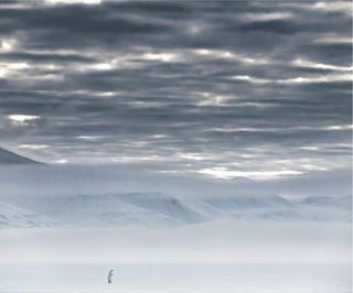 David Yarrow, The North Remembers, 2019 contemporary Print by the British Artist.
