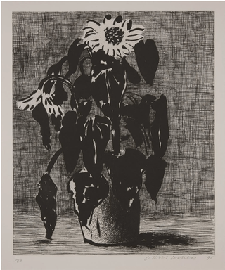 David Hockney, Sunflower I, 1995 contemporary Print by the British Artist.