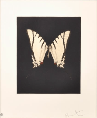 Damien Hirst, Spirit, 2009 contemporary Print by the British Artist.