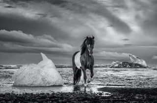 David Yarrow, On The Rocks, 2020 contemporary Print by the British Artist.