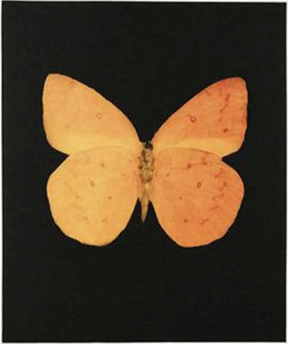Damien Hirst, Prosperity, 2009 contemporary Print by the British Artist.