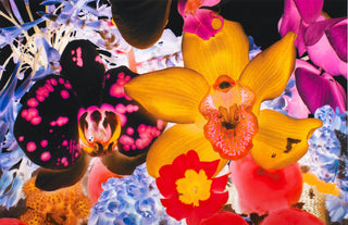 Marc Quinn, At the Far Edges of the Universe #5, 2010 contemporary Print by the British Artist.
