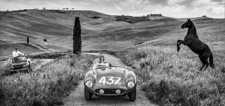 David Yarrow, The Prancing Horse, 2026 contemporary Works on Paper by the British Artist.