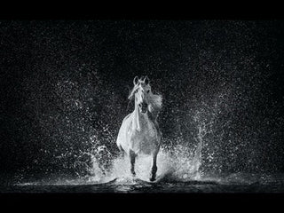 David Yarrow, The Shape of Water, 2020 contemporary Print by the British Artist.