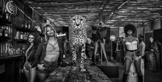 David Yarrow, Cheetahs, 2022 contemporary Print by the British Artist.