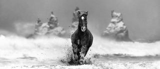 David Yarrow, My Perfect Storm, 2024 contemporary Print by the British Artist.