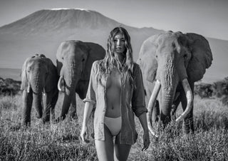 David Yarrow, Nobody's Trophy, 2020 contemporary Works on Paper by the British Artist.