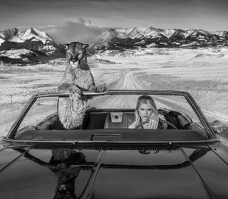 David Yarrow, No Country for Old Men, 2019 contemporary Print by the British Artist.