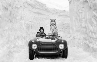 David Yarrow, 1953, 2024 contemporary Print by the British Artist.