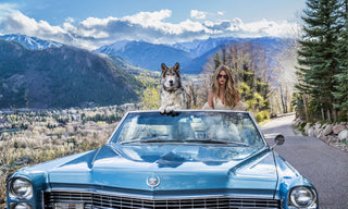 David Yarrow, Spring in Aspen (Colour), 2026 contemporary Print by the British Artist.