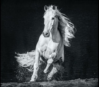 David Yarrow, Horsepower, 2020 contemporary Print by the British Artist.