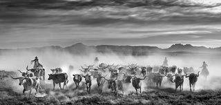 David Yarrow, The Thundering Herd, 2021 contemporary Print by the British Artist.