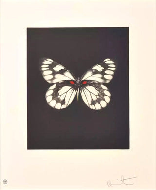 Damien HIrst, Butterfly (Regeneration), 2009 contemporary Print by the British Artist.