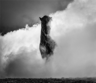 David Yarrow, 66 Degrees North, 2022 contemporary Print by the British Artist.