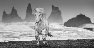 David Yarrow, The Perfect Storm, 2018 contemporary Print by the British Artist.
