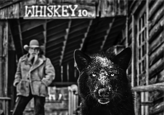 David Yarrow, It Was The Whiskey Talking, 2022 contemporary Print by the British Artist.