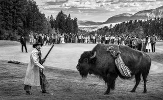 David Yarrow, Bison DeChambeau, 2025 contemporary Print by the British Artist.