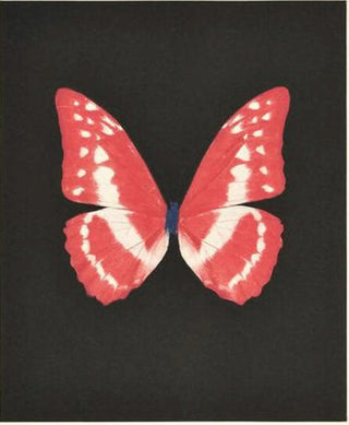 Damien Hirst, Eternal Rest, 2009 contemporary Print by the British Artist.