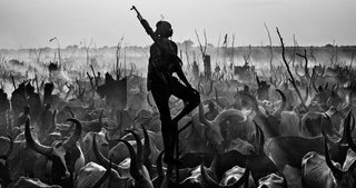 David Yarrow, The Proud Nightwatchman, 2015 contemporary Print by the British Artist.