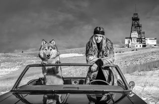 David Yarrow, The 'Mile High' Club, 2020 contemporary Print by the British Artist.
