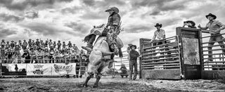 David Yarrow, Rodeo, 2023 contemporary Print by the British Artist.