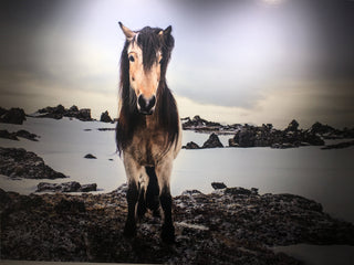 David Yarrow, Game of Thrones, 2018 contemporary Print by the British Artist.