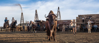 David Yarrow, Bison Oil and Gas (Colour), 2025 contemporary Print by the British Artist.