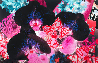 Marc Quinn, At the Far Edges of the Universe #1, 2010 contemporary Print by the British Artist.