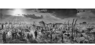 David Yarrow, The New Testament, 2022 contemporary Print by the British Artist.