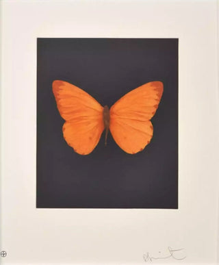 Damien Hirst, Butterfly (Hope), 2009 contemporary Print by the British Artist.
