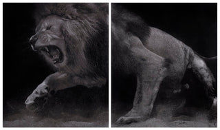 Mark Evans, Intrepid, 2024 contemporary Works on Paper by the British Artist.