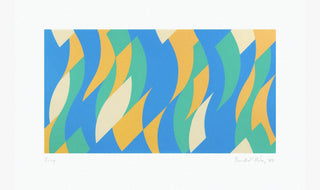 Bridget Riley, Frieze, 2000 contemporary Print by the British Artist.