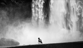 David Yarrow, Wild, 2012 contemporary Print by the British Artist.