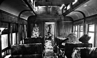 David Yarrow, Ride The Ghost Train, 2015 contemporary Print by the British Artist.