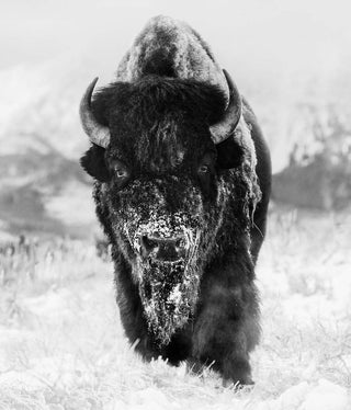 David Yarrow, The Snowman, 2023 contemporary Print by the British Artist.